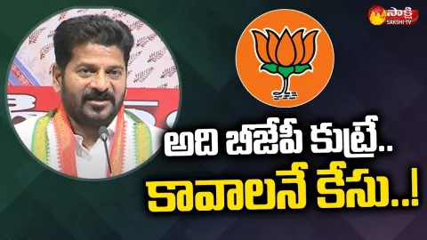 TPCC Revanthreddy Comments On BJP