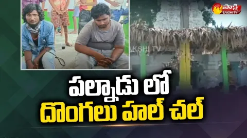 Thieves in Palnadu Ramalayam