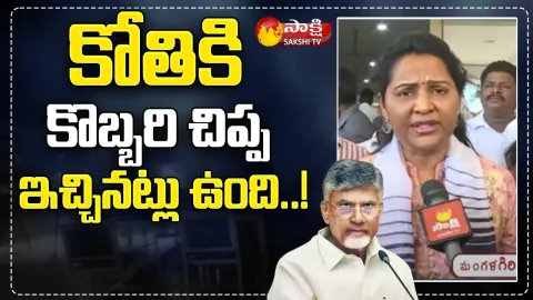 MLA Vundavalli Sridevi Fires On Chandrababu And Yellow Gang