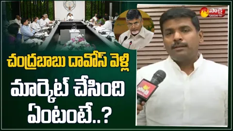 Minister Gudivada Amarnath Comments On Chandrababu Naidu Davos Trip