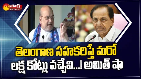 Amit Shah Speech At Telangana Formation Day Celebrations Delhi