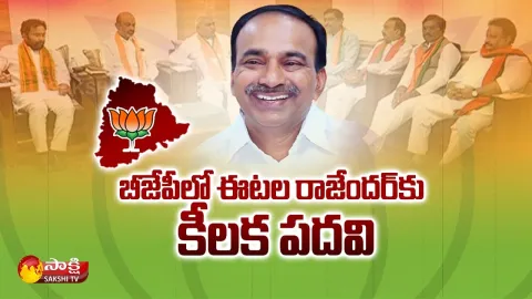 Sakshi Special Story On Etela Rajender Delhi Tour