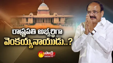 BJP Leaders Met Vice President Venkaiah Naidu Amid Prez Polls