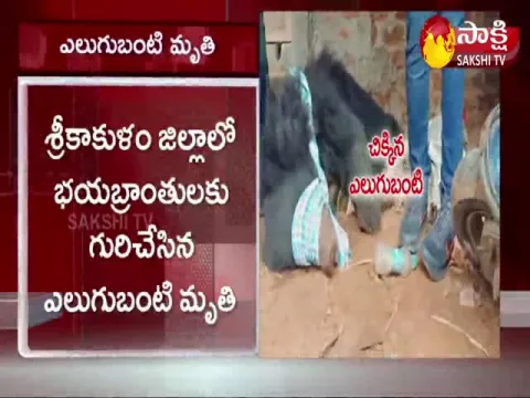 Srikakulam District: Bear Deceased
