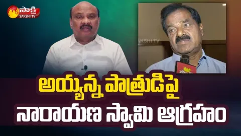 Deputy CM Narayana Swamy Fires On Ayyanna Patrudu, Chandrababu