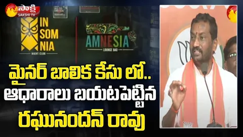 Jubilee Hills Amnesia Pub Case: Raghunandan Rao Slams Police