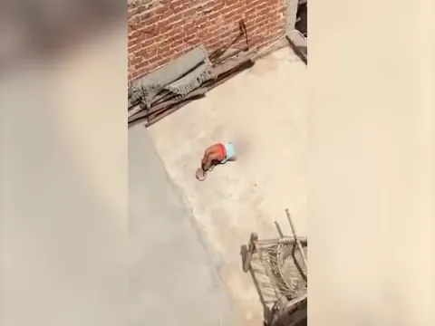 Viral Video: Delhi Mother Summer Hot Punishment Viral Police Traced Family