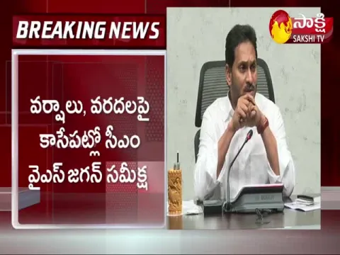 AP CM YS Jagan Video Conference With Collectors