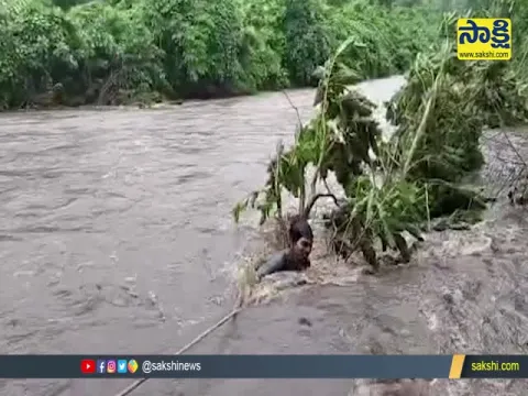 Nirmal District: Man Stuck In Middle Of Stream Spends Hole Night In Water