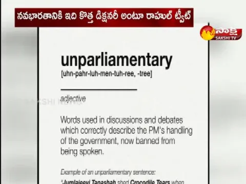 Rahul Gandhi Definition Of Unparliamentary Words To Take A Dig At PM Modi