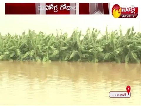 Sakshi Ground Report On Godavari Floods