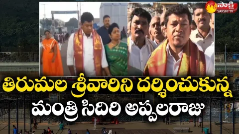 Minister Seediri Appalaraju Visits Tirumala Temple