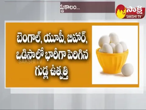 Eggs Rate Decreases In Andhra Pradesh And Telangana