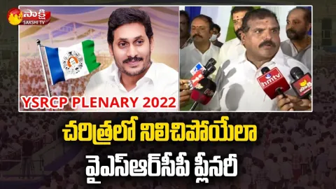 Minister Botsa Satyanarayana About YSRCP Plenary 2022