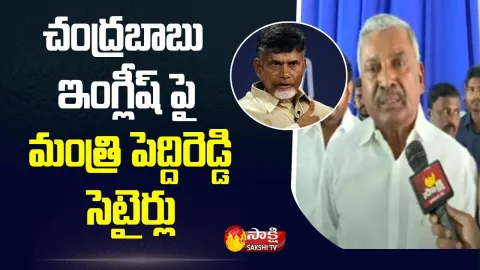Minister Peddireddy Ramachandra Reddy Satires on Chandrababu English