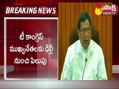 Telangana Congress Leaders Delhi Tour