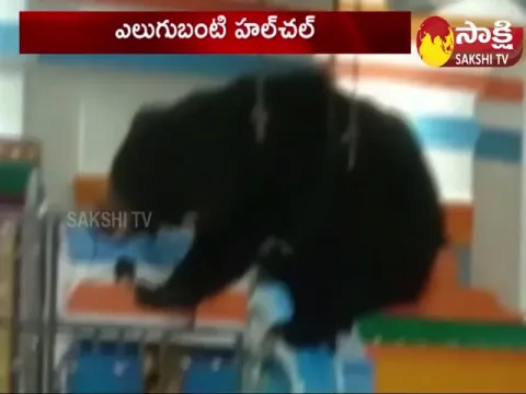 Srikakulam District: Bear Hulchal In the Temple Of Deppur