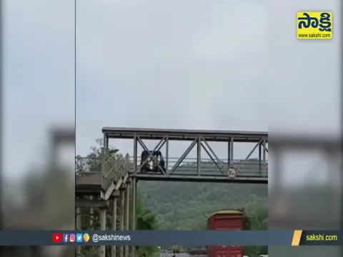 Auto Rickshaw Drives Across Foot Over Bridge On Maharashtra Highway