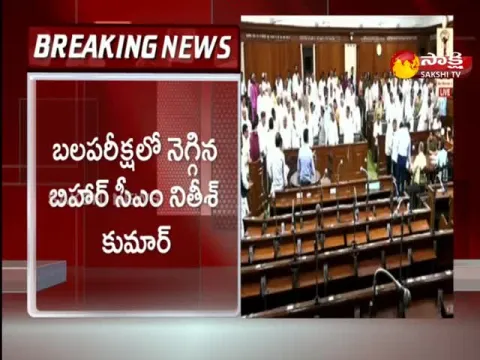 Bihar Floor Test: Nitish Kumar Led Grand Alliance Wins On Trust Vote In Bihar Assembly