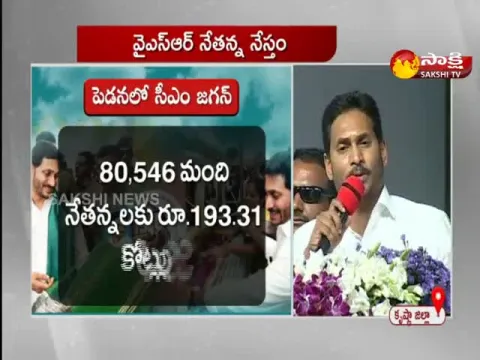 AP CM YS Jagan Mohan Reddy Speech In Pedana