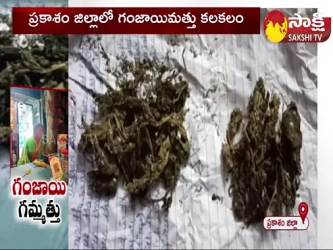 Ganja Selling In Prakasham District