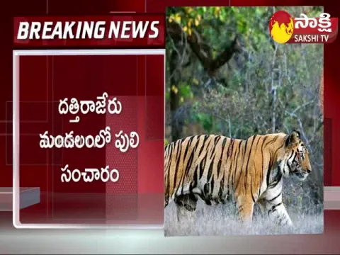 Tiger Tention In Vizianagaram District 