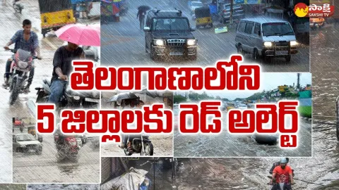 Heavy Rain Alert For Five Districts In Telangana