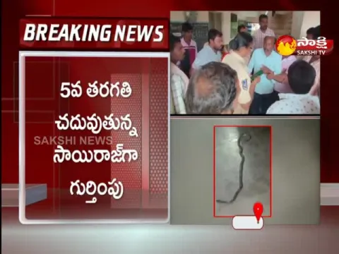 Student Dies Of Snake Bite At Kamareddy Dist