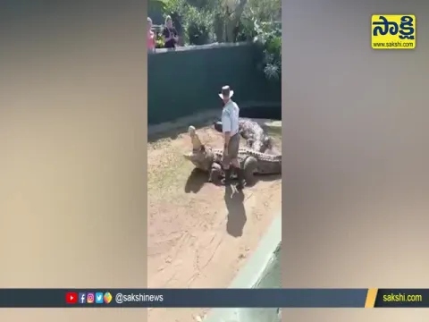 Viral Video : Crocodile Attacks Zookeeper