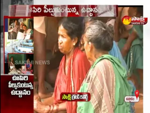 Special Story On Uddanam Problems
