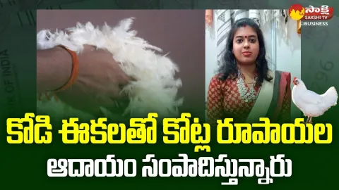 Couple Became Millionaire By Started Business Of Making Clothes With Chicken Feather