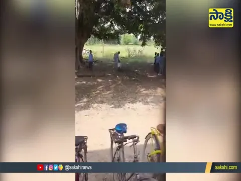 Viral Video: Teacher Kicked Punched And Dragged Student At Madya Pradesh