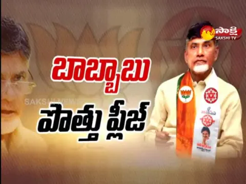 Sakshi Special Edition On Chandrababu Naidu