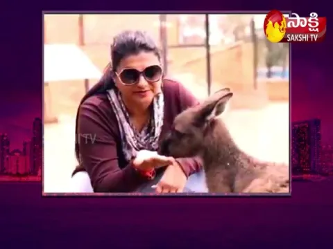 Minister RK Roja Playing With Kangaroo 