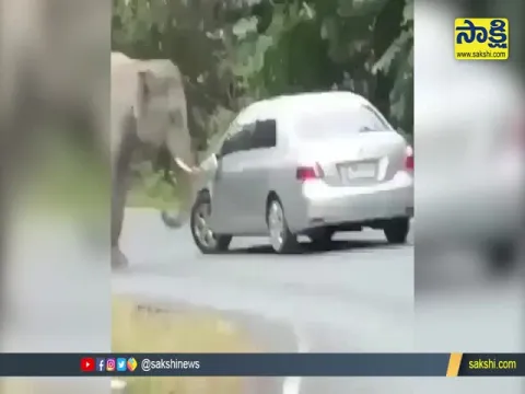 Elephant Damages Car To Scratch Itself Video Gone Viral