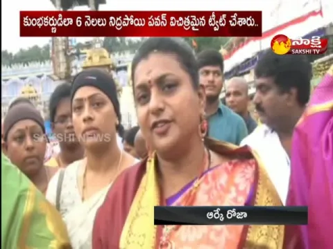 AP Minister RK Roja Fires On TDP And Pawan Kalyan