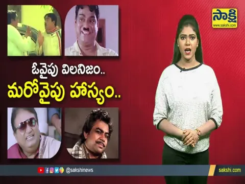 Sakshi Special Video On Vilans And Comedians