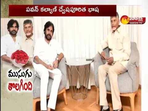 Pawan Kalyan Comments On YSRCP Leaders