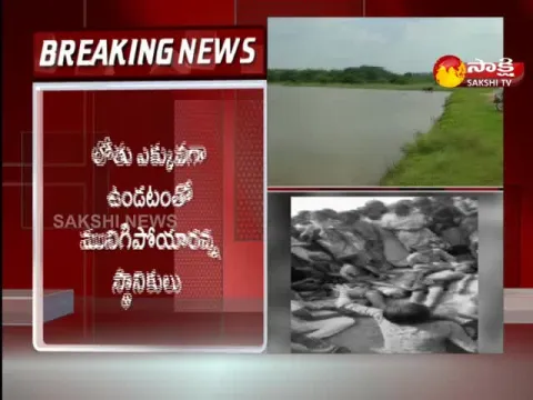 Four Children Died While Swimming In The Pond