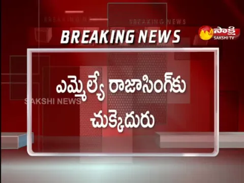 PD Act Advisory Board Rejects BJP Suspended MLA Raja Singh Plea