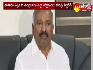 AP Minister Peddireddy Ramachandra Reddy Fires On Yellow Media And Chandrababu Naidu