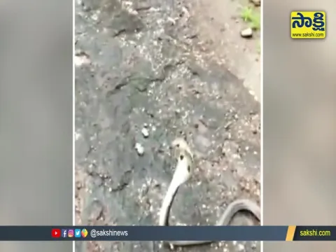 Some Boys Said Special Birthday Wishes To Cobra
