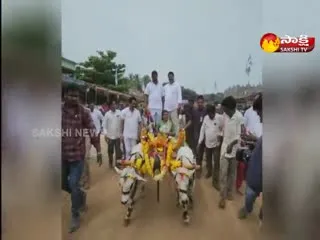 Bullock Cart Competitions : Minister RK Roja Drove The Bullock Cart