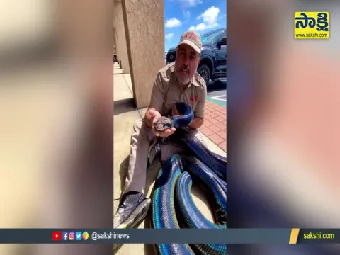 Zoo Keeper  Fun with Seven Colors Python ...!