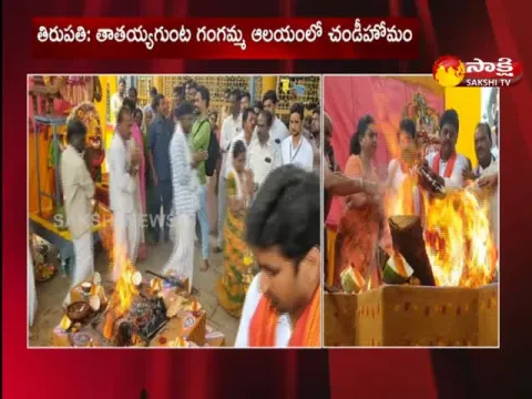 Ap Minister Rk Roja Comments On Tdp Party