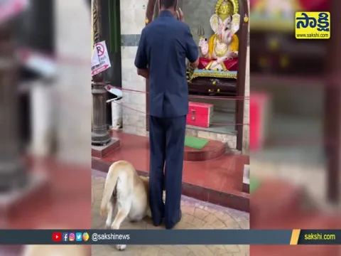 Dog Paying Respect To Lord Ganesha At Pune Video Gone Viral