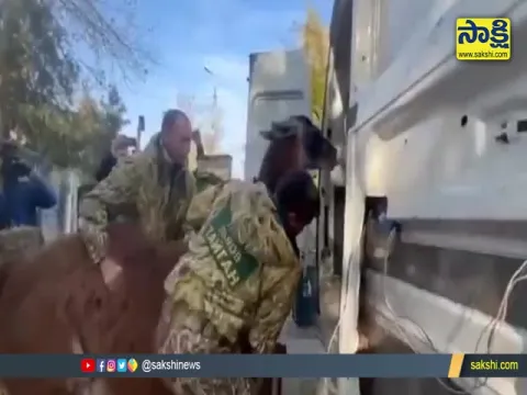 Russian Soldiers Stealing Animals From Kherson Zoo Video Gone Viral