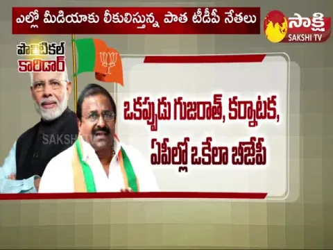 Political Corridor On AP BJP