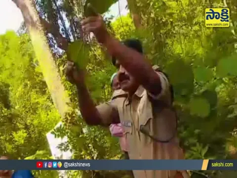 Hyderabad: Police Suspect On FRO Srinivas Rao Murder By Guthikoya Tribals
