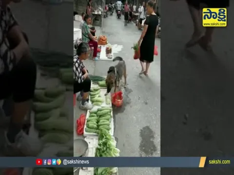 Viral Video : Dog Bargaining In Vegetable Market
